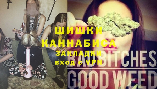 МДПВ Заводоуковск